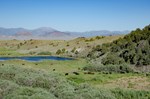 2016 Nevada ESAP winner