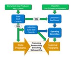 Chart explaining how Beef Checkoff dollars are remitted